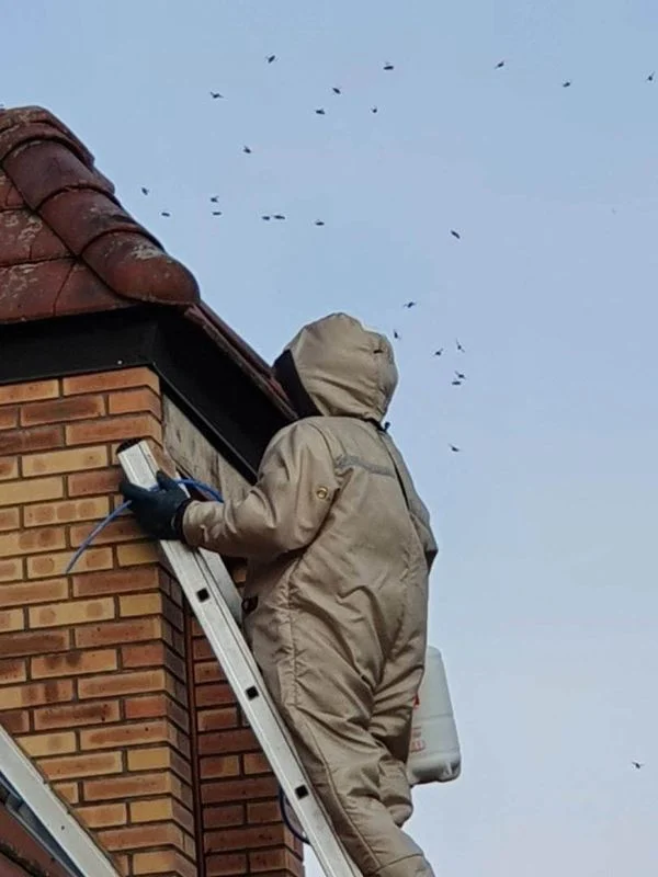 640b079c310000a0fdb6edd7