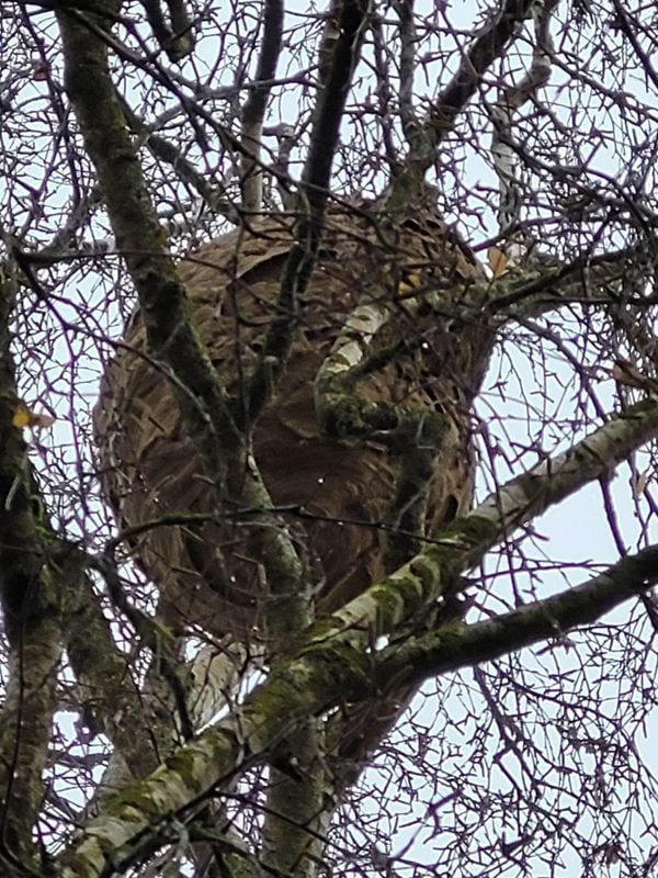 640b07a031000014feb6edda