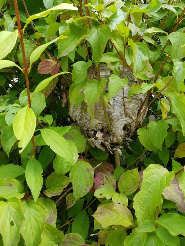 640b07a12f00008e068e7ca3