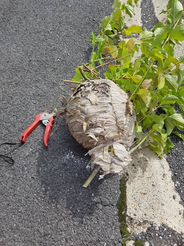 640b07a23100001f06e6044d