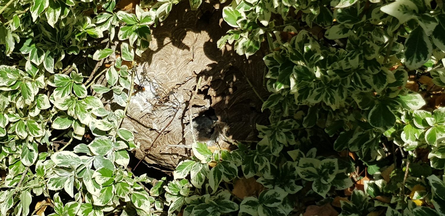 640b07a330000052324566cb