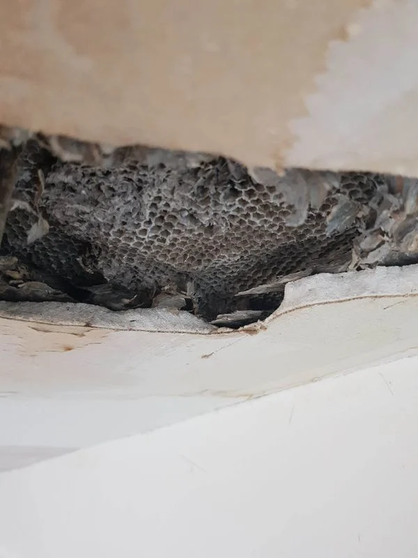 640b07a43100009dfdb6eddd