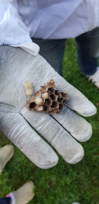 640b07a6310000f4fdb6ede0