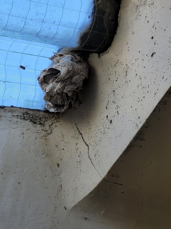 66f3c0872f00008f73464869