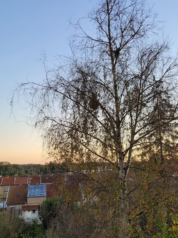 67193d13310000b0d7138ae1