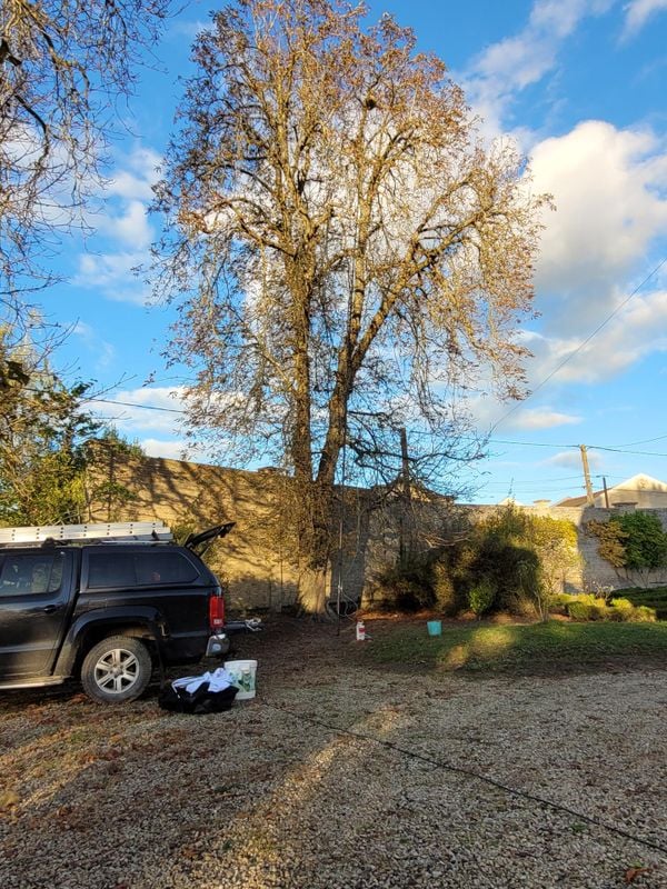 67193d3e2f000031f9d42972